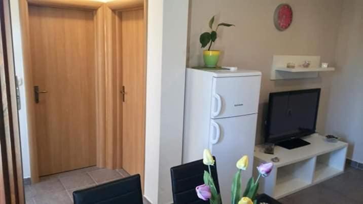Apartment Dukic Sveti Filip i Jakov Bagian luar foto