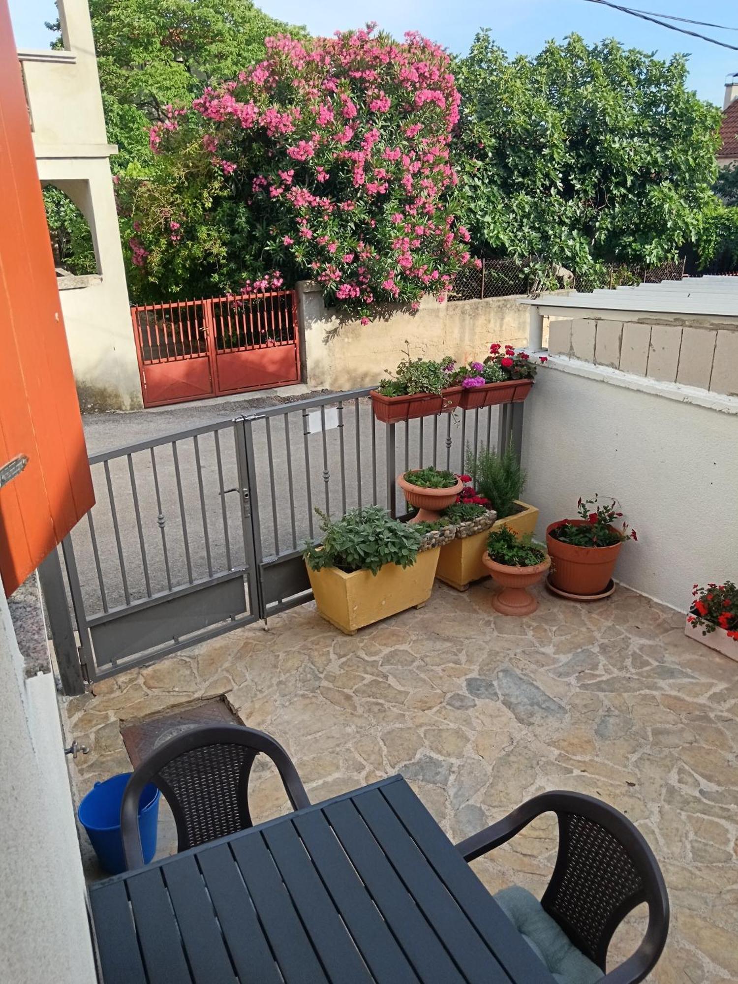 Apartment Dukic Sveti Filip i Jakov Bagian luar foto