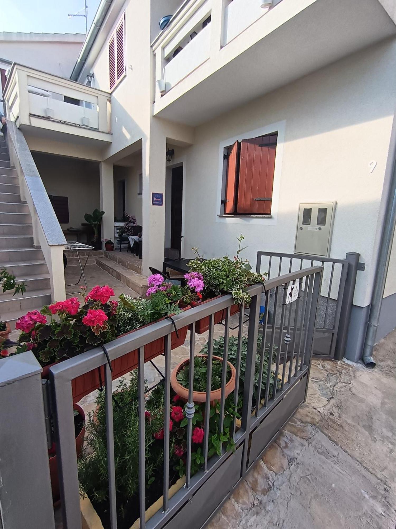 Apartment Dukic Sveti Filip i Jakov Bagian luar foto